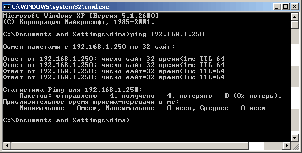 Проверка работоспособности. Команда Ping